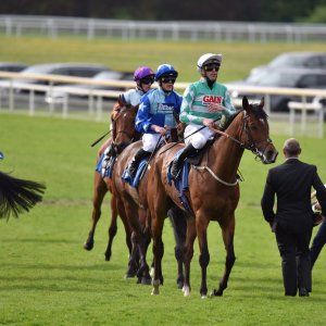 York | Dante Festival | 13/5/22