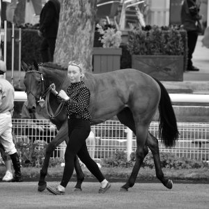 York | Dante Festival | 13/5/22