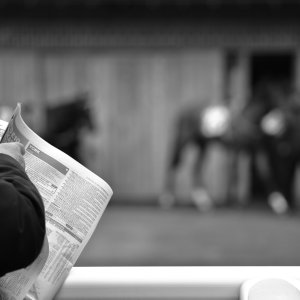 York | Dante Festival | 13/5/22