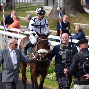 York | Dante Festival | 13/5/22