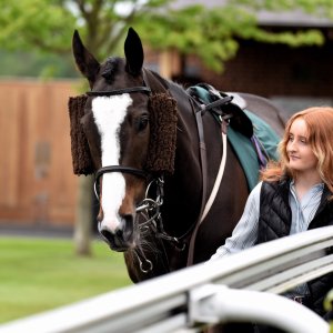 York | Dante Festival | 13/5/22