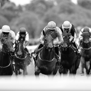 York | Dante Festival | 13/5/22