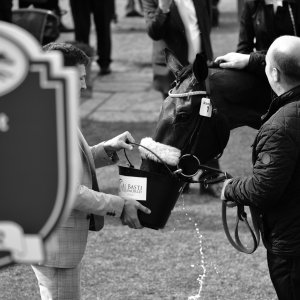 York | Dante Festival | 13/5/22