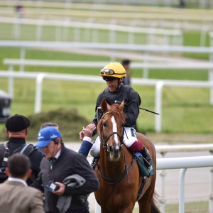 York | Dante Festival | 13/5/22