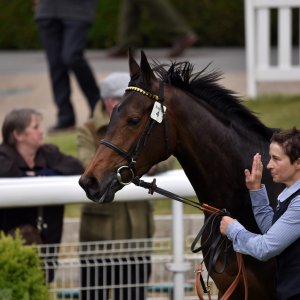 York | Dante Festival | 13/5/22