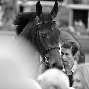 York | Dante Festival | 13/5/22