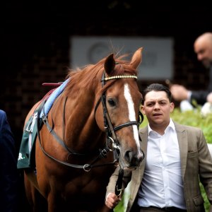 York | Dante Festival | 13/5/22