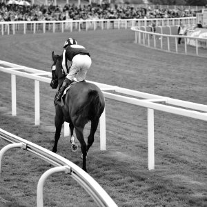 York | Dante Festival | 13/5/22