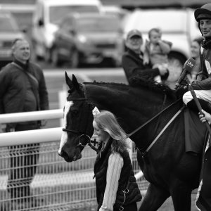 York | Dante Festival | 13/5/22