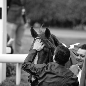 York | Dante Festival | 13/5/22