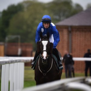 York | Dante Festival | 13/5/22