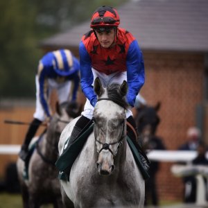 York | Dante Festival | 13/5/22