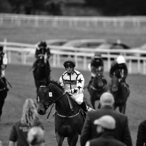 York | Dante Festival | 13/5/22