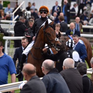 York | Dante Festival | 13/5/22