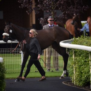 York | Dante Festival | 13/5/22