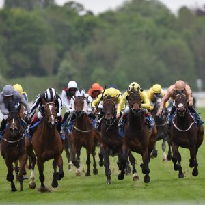 York | Dante Festival | 13/5/22