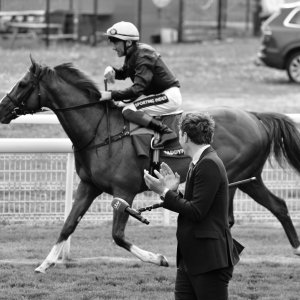 York | Dante Festival | 13/5/22