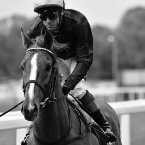 York | Dante Festival | 13/5/22