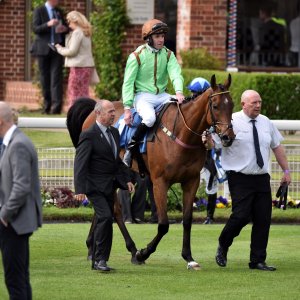 York | Dante Festival | 13/5/22