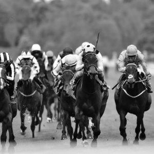 York | Dante Festival | 13/5/22