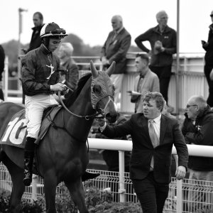 York | Dante Festival | 13/5/22