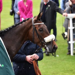 York | Dante Festival | 13/5/22