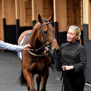 York | Dante Festival | 13/5/22