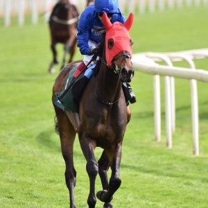 York | Dante Festival | 13/5/22