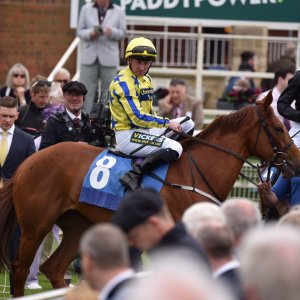 York | Dante Festival | 13/5/22