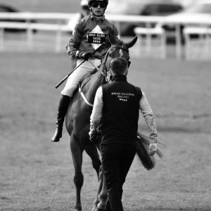 York | Dante Festival | 13/5/22