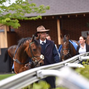 York | Dante Festival | 13/5/22