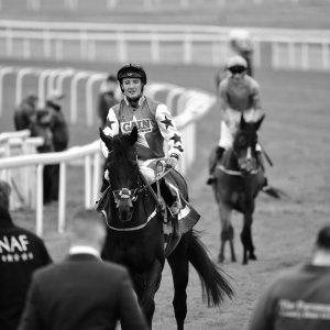 York | Dante Festival | 13/5/22