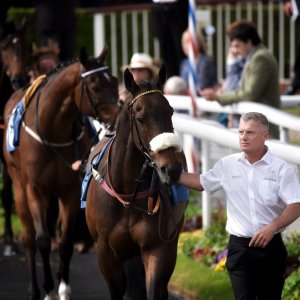 York | Dante Festival | 13/5/22