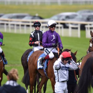 York | Dante Festival | 13/5/22