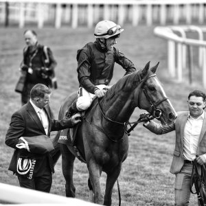 York | Dante Festival | 13/5/22