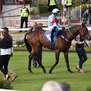 York | Dante Festival | 13/5/22