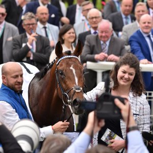 York | Dante Festival | 18-19/5/23