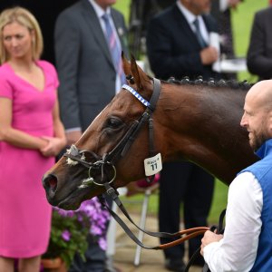 York | Dante Festival | 18-19/5/23