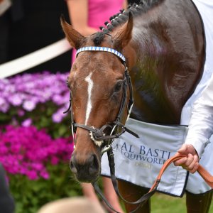 York | Dante Festival | 18-19/5/23