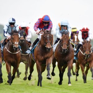 York | Dante Festival | 18-19/5/23