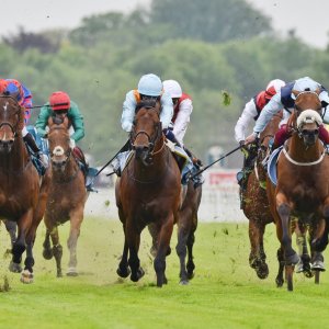 York | Dante Festival | 18-19/5/23