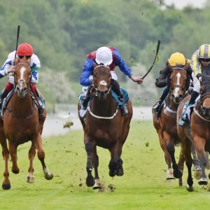 York | Dante Festival | 18-19/5/23