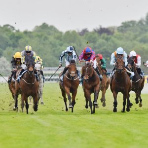 York | Dante Festival | 18-19/5/23