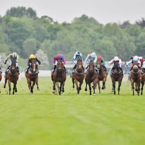 York | Dante Festival | 18-19/5/23