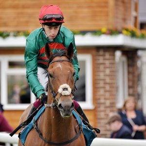 York | Dante Festival | 18-19/5/23