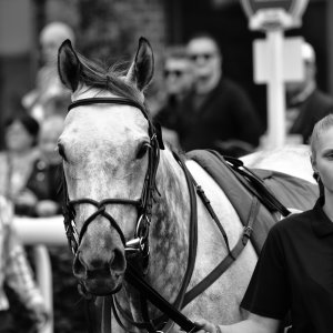 York | Dante Festival | 18-19/5/23