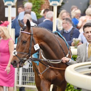 York | Dante Festival | 18-19/5/23