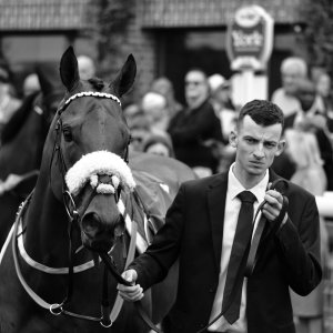 York | Dante Festival | 18-19/5/23