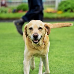 York | Dante Festival | 18-19/5/23