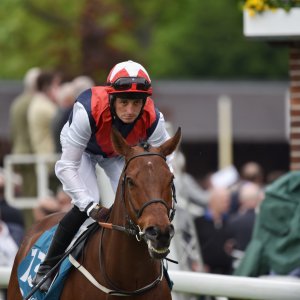 York | Dante Festival | 18-19/5/23